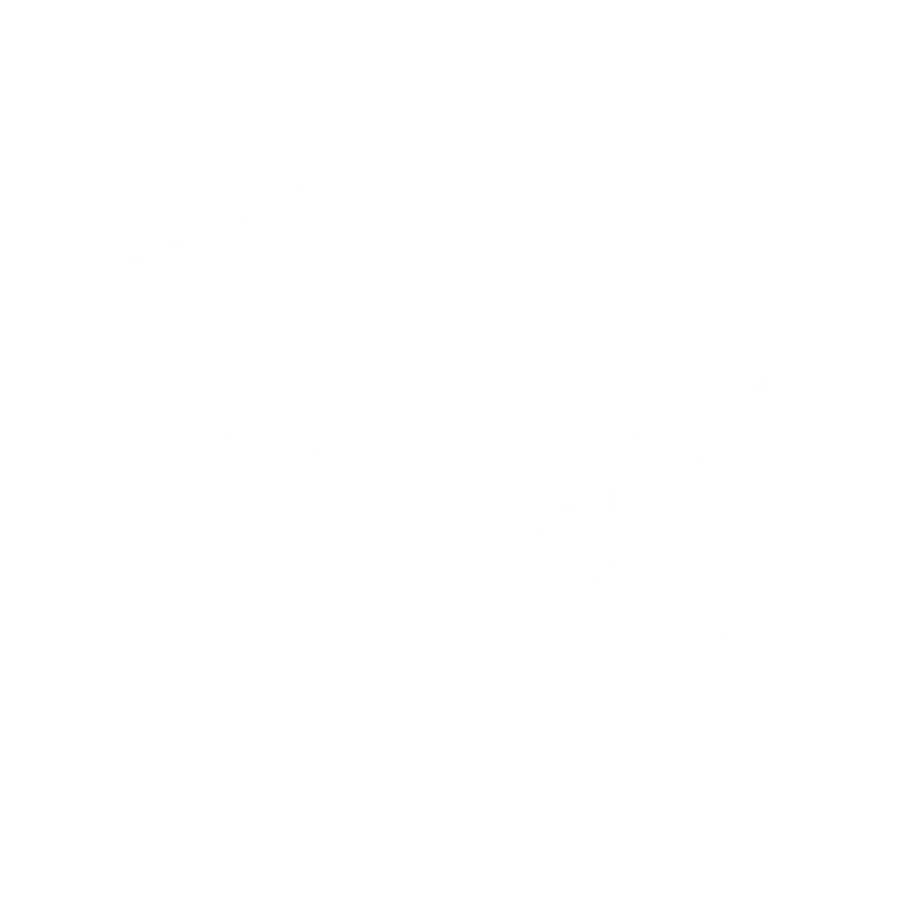 Ikona kvality a spolehlivosti – symbol precizní výroby a kontroly obalových produktů.